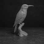 Bienenfresser auf Ast – detailreiche Vogelskulptur | handbemalt oder gedruckt | Made in Germany FehnFactory