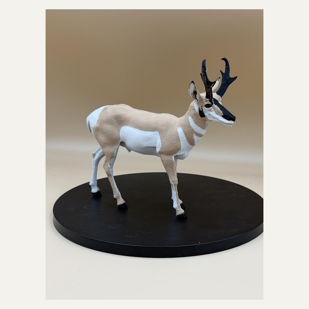 Windläufer – Gabelbock-Skulptur | Prärie-Wildtier | Made in Germany FehnFactory