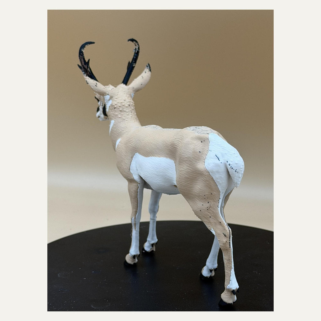 Windläufer – Gabelbock-Skulptur | Prärie-Wildtier | Made in Germany FehnFactory