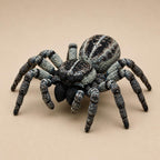 Achtbeinige Springspinne – Spinnen Skulptur | Made in Germany FehnFactory