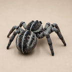 Achtbeinige Springspinne – Spinnen Skulptur | Made in Germany FehnFactory