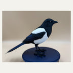 Midnight Mischief Magpie – Elster-Skulptur auf rundem Sockel | Vogel-Deko | Made in Germany FehnFactory