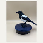 Midnight Mischief Magpie – Elster-Skulptur auf rundem Sockel | Vogel-Deko | Made in Germany FehnFactory