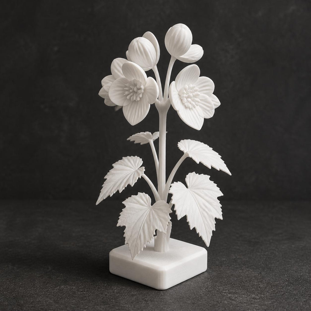 Begonienzweig mit Blüten und Knospen – florale Skulptur auf Sockel | handbemalt oder gedruckt | Made in Germany FehnFactory