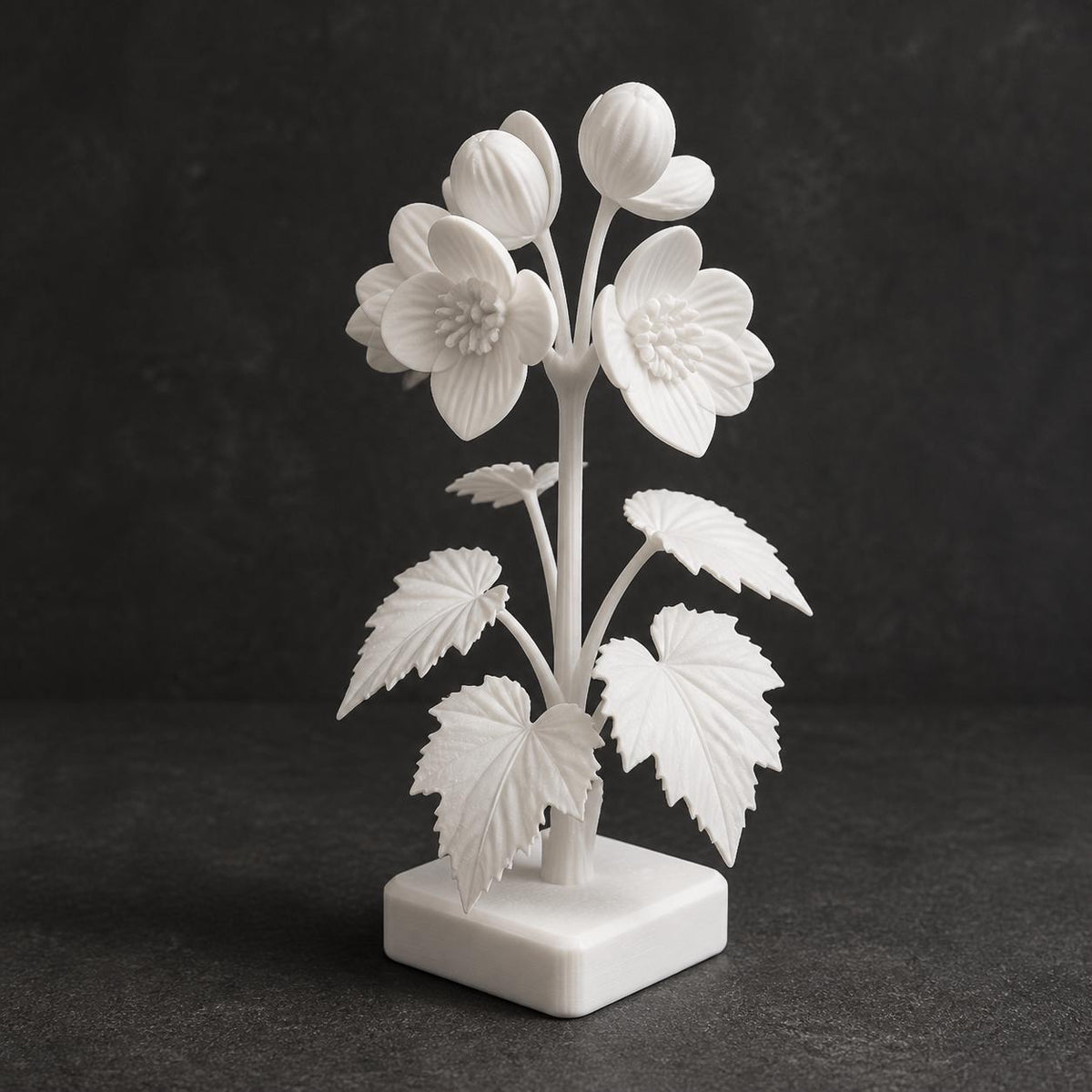 Begonienzweig mit Blüten und Knospen – florale Skulptur auf Sockel | handbemalt oder gedruckt | Made in Germany FehnFactory