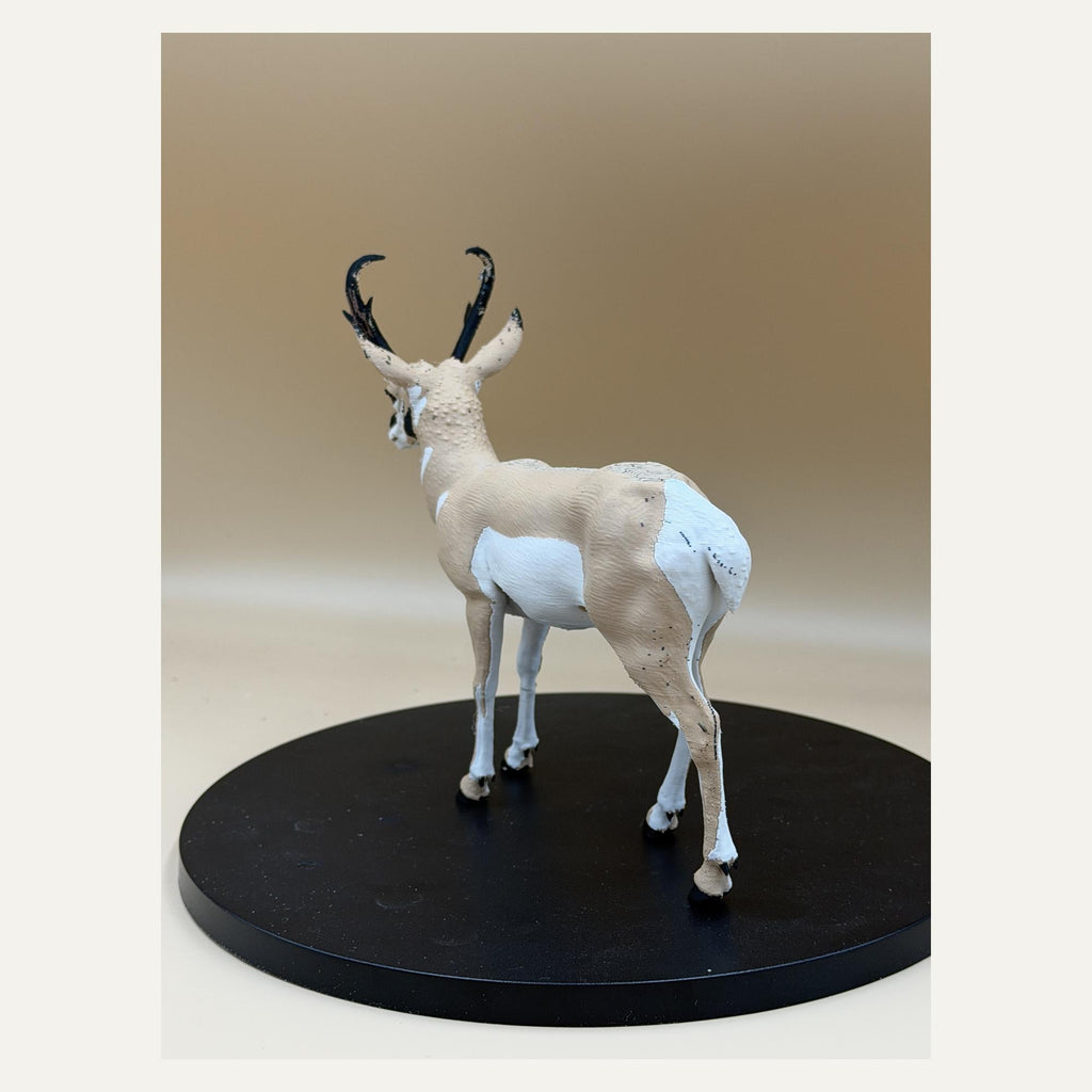 Windläufer – Gabelbock-Skulptur | Prärie-Wildtier | Made in Germany FehnFactory